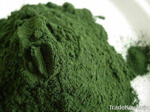 Spirulina Powder