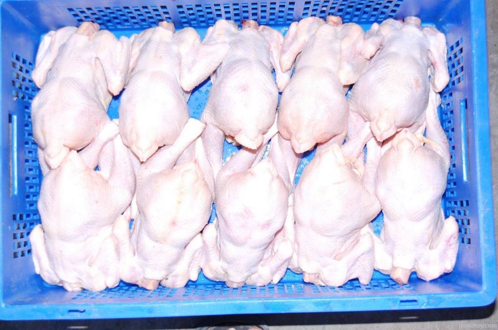 High Quality Whole Frozen Chicken