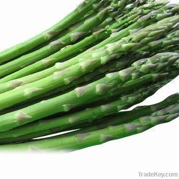 Fresh Asparagus