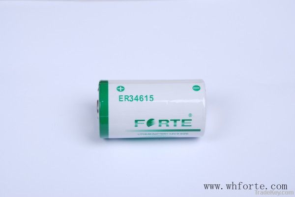 3.6V 19AH high capacity D size Li-SOCL2 battery for water meter