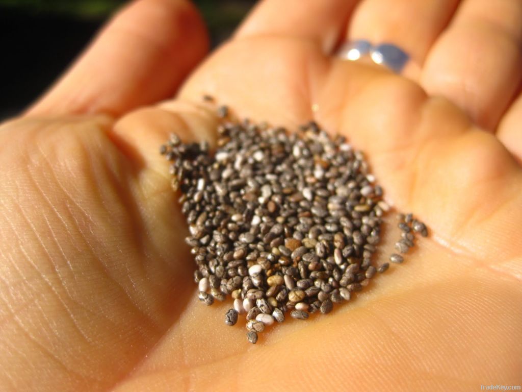 Best qualtiy 99% Pure raw HEMP SEEDS, bag seed, chia seed