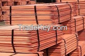 Copper & Brass/Copper wire scrap/Copper ingots/Copper pipes/Brass scrap/copper cathode/Hot washed PET flakes/Cold washed PET flakes/aluminium ingot/AC and fridge compressor scrap/CPU scrap/Battery scrap/DVD SCRAPS/Occ Waste Paper Scrap/pig iron/PVC sc