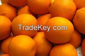  Fresh Fuji Apples/Fresh Mangos/Fresh Mangosteen/Fresh Melons/Fresh Oranges/Fresh Pineapples/Fresh Pomegranates/Fresh Water Melons/Fuji Apples/Young Coconuts/Fresh Lemons