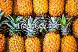  Fresh Fuji Apples/Fresh Mangos/Fresh Mangosteen/Fresh Melons/Fresh Oranges/Fresh Pineapples/Fresh Pomegranates/Fresh Water Melons/Fuji Apples/Young Coconuts/Fresh Lemons