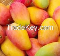  Fresh Fuji Apples/Fresh Mangos/Fresh Mangosteen/Fresh Melons/Fresh Oranges/Fresh Pineapples/Fresh Pomegranates/Fresh Water Melons/Fuji Apples/Young Coconuts/Fresh Lemons