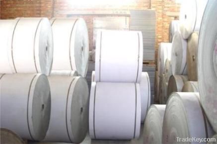 Coated Paper in Rolls