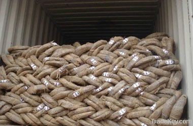 galvanized wire