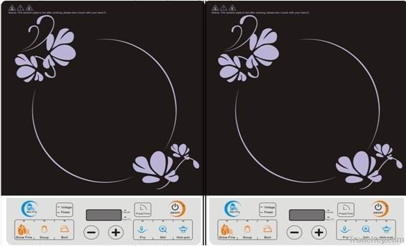 Induction Cooker with POT