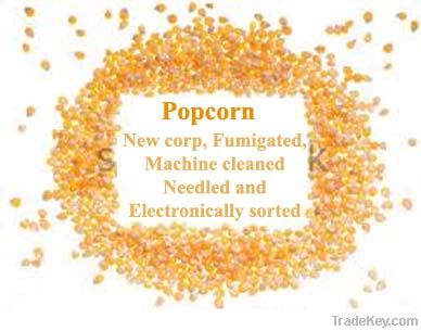 popcorn