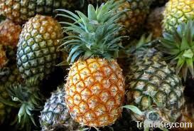 Pineapples