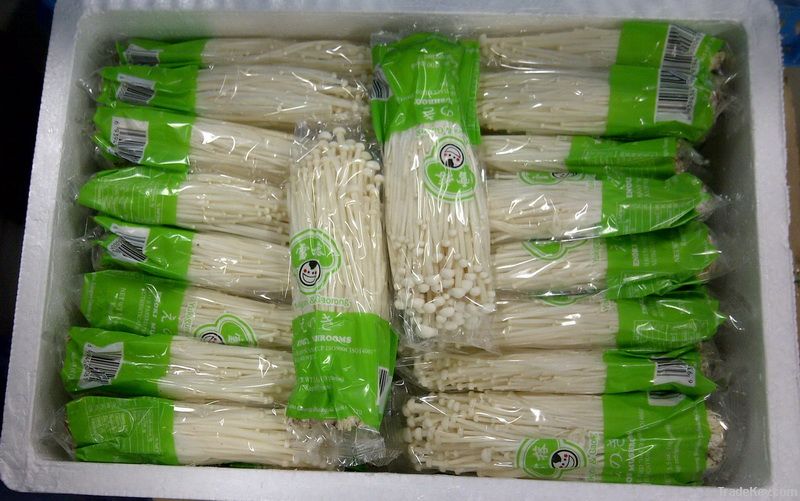 200gsm Packaged Enoki