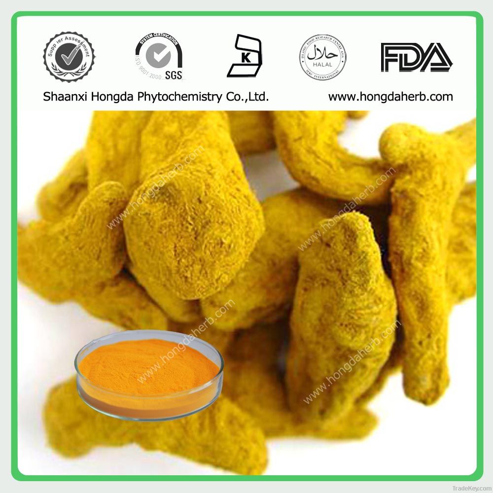 Turmeric Extract