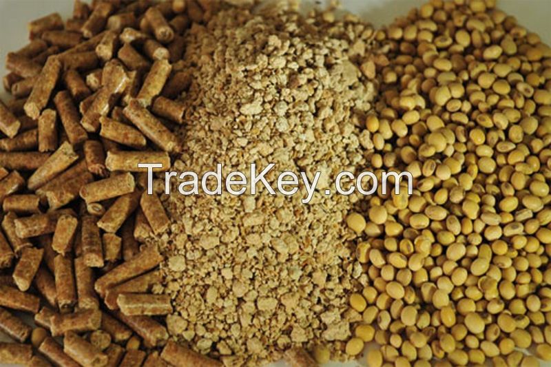 HIGH QUALITY SOYBEAN MEAL FOR ANIMAL FEED