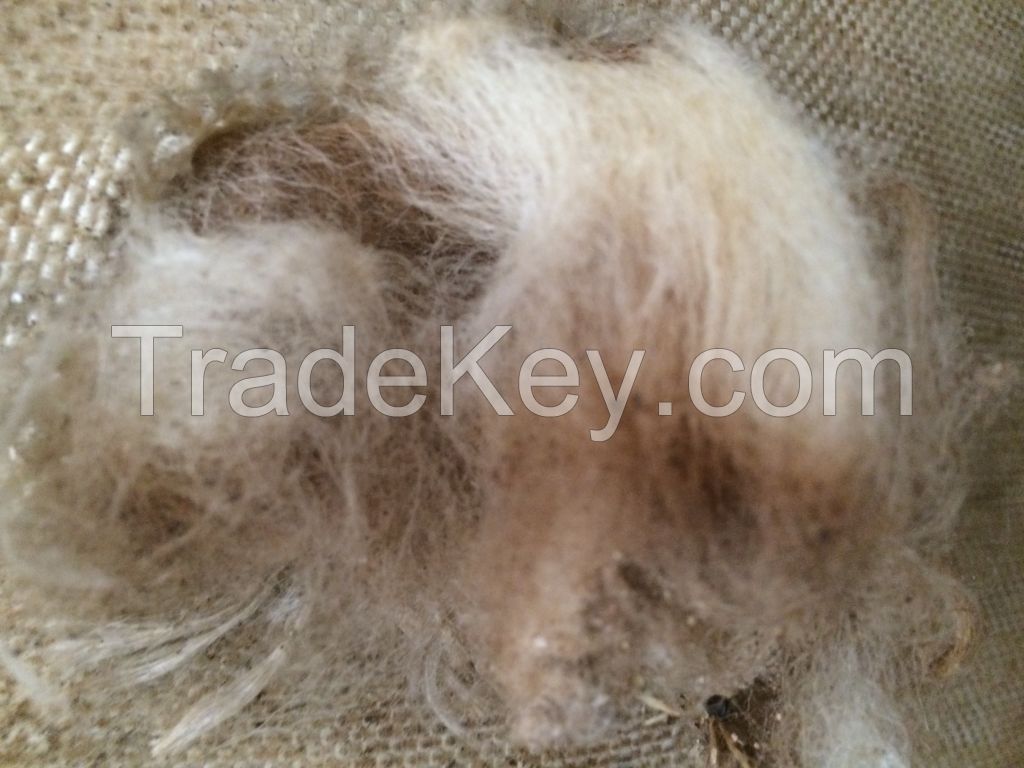 IWTO tested Awassi Wool