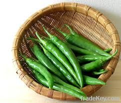 Green Chilli