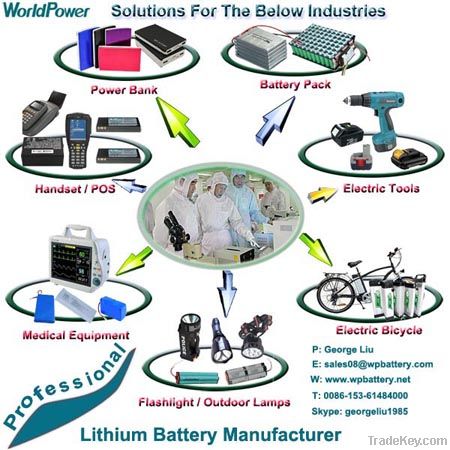 Lithium Ion Battery Li-ion Battery