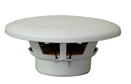 home theater,speaker