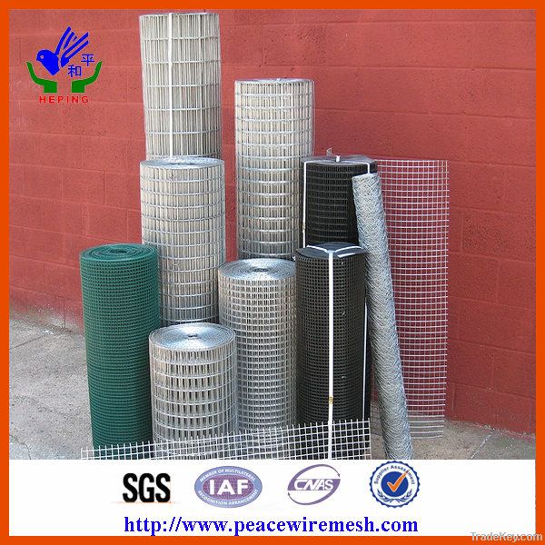 Galvanized Welded Wire Mesh