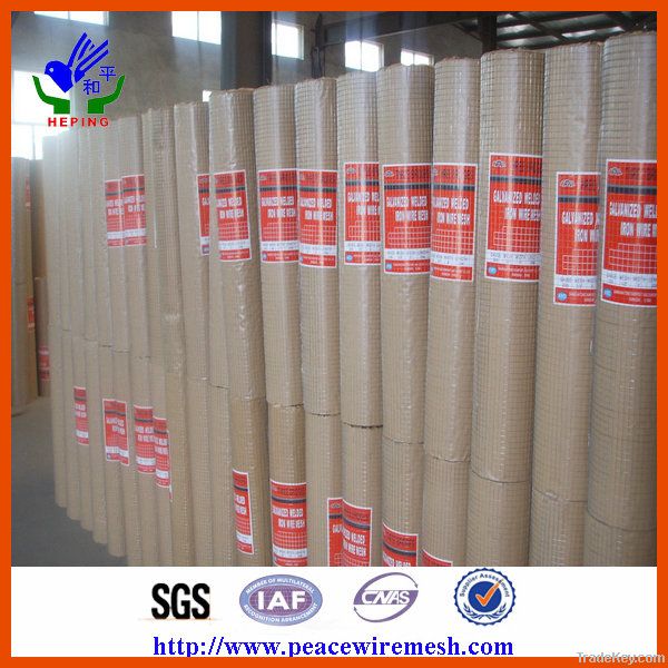 Galvanized Welded Wire Mesh