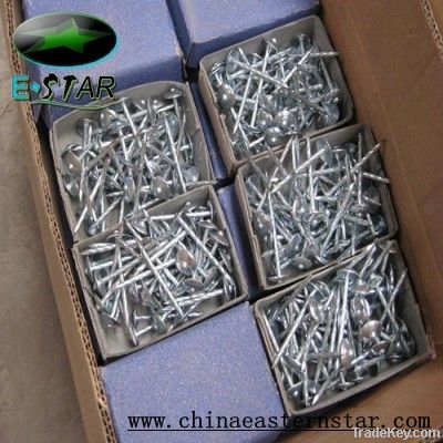 Umbrella head galvanized roofing nail from factory