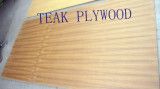 Teak Plywood