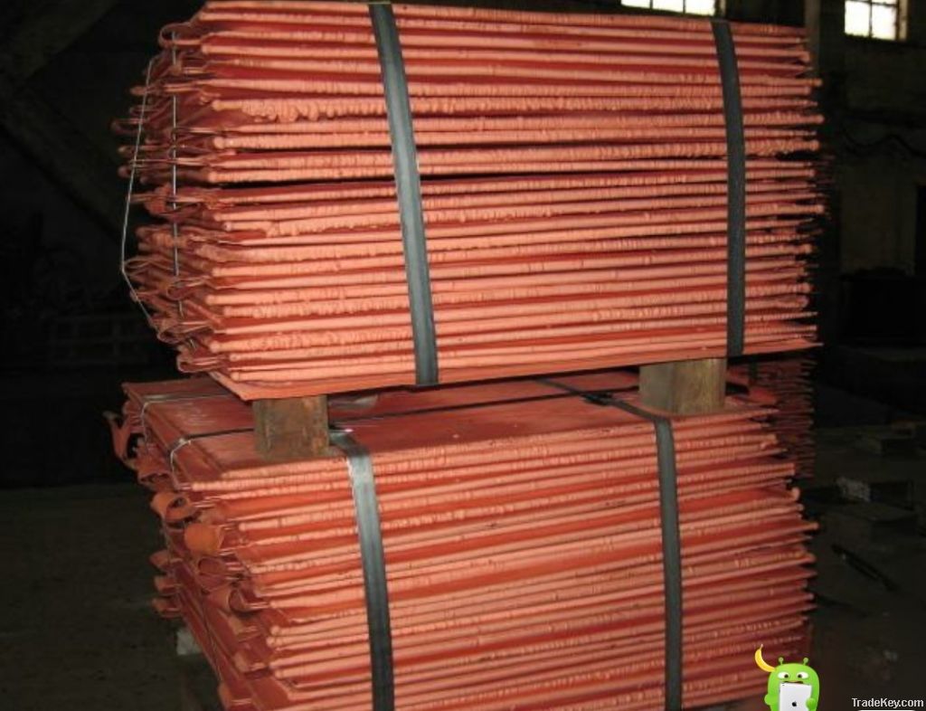 best quantity copper ingot 99.995%(big factory)