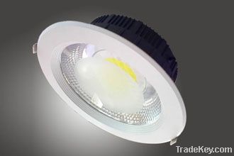 LED Down Light