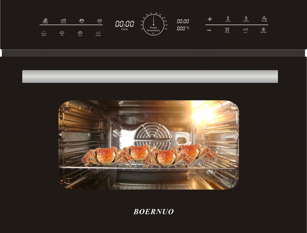 Built-in Steam Oven