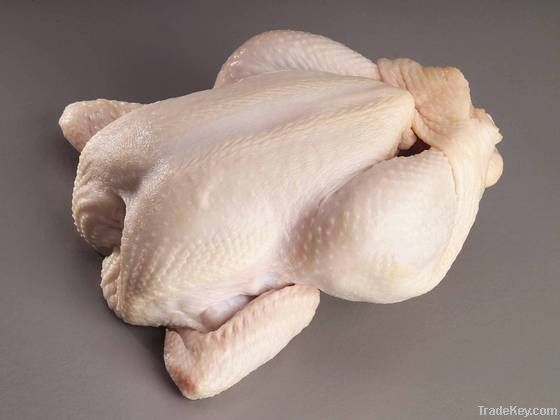 Frozen Chicken