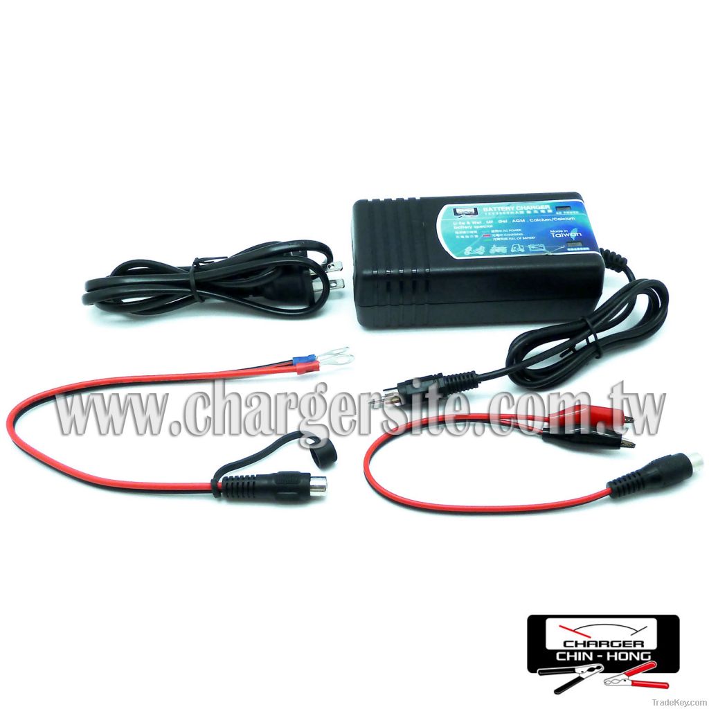 12V Auto Battery Charger