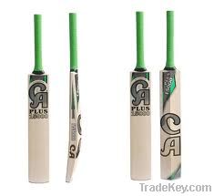 CRICKET BAT