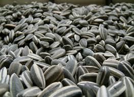 Pumkin seeds|sunflower Seed| Kidney Bean| Cashew Nuts|peanuts|groundnuts