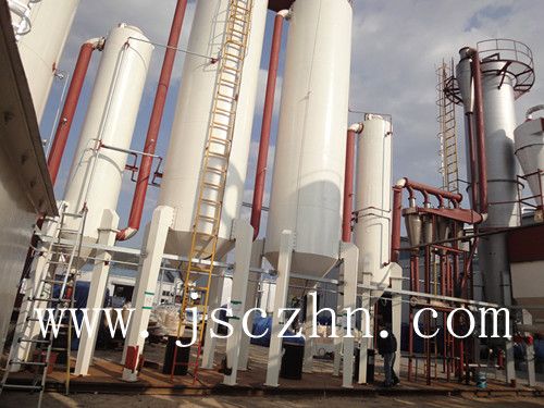 Fluid bed gasifier