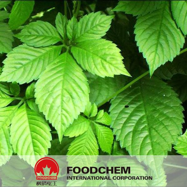 Free Samples Gynostemma Pentaphyllum Extract