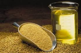 refined soybean oil