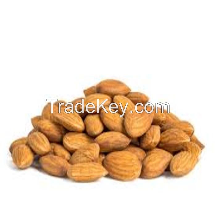 Quality ALMOND NUT