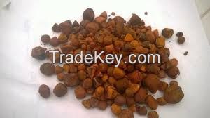 Ox Gallstones / Cattle Gallstones / Cow Gallstones