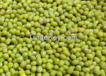 Crop Green Mung Beans