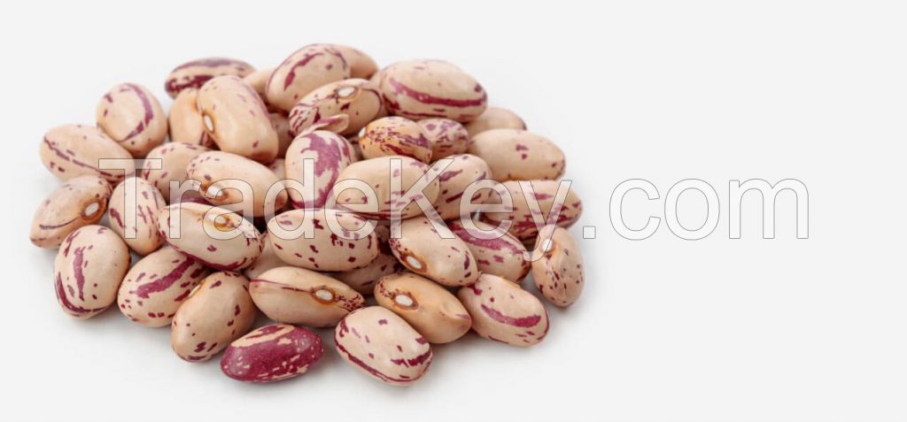 beans