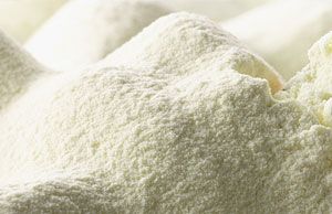 High Quality Whey Powder | Full Cream Milk Powder