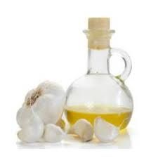 Garlic Oil