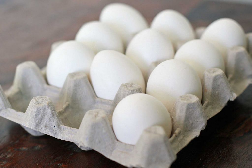 Chicken Eggs