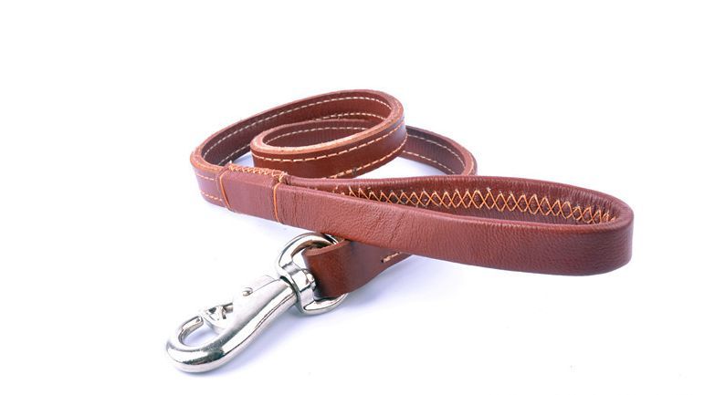 corium leash