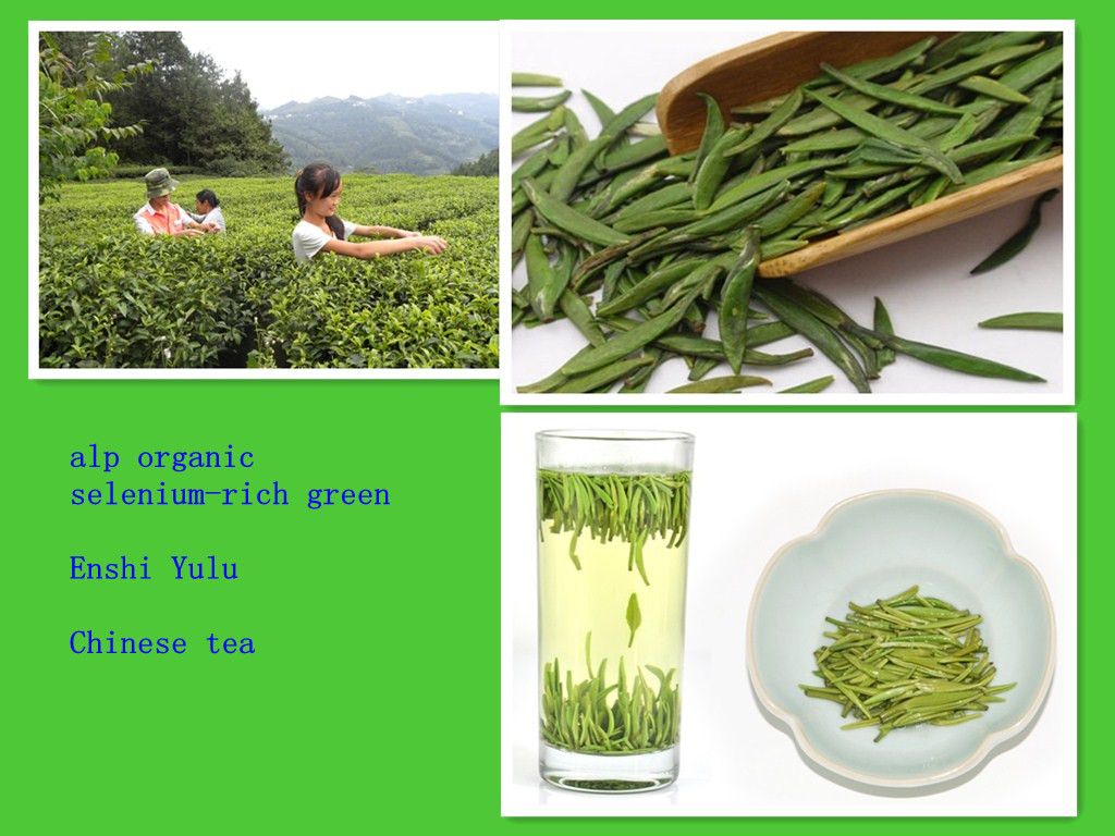 organic green tea