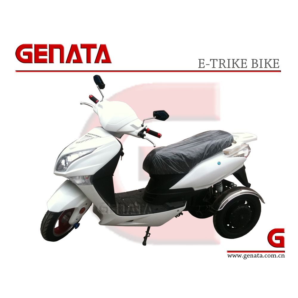 Electric Motorcycle (GM690E)