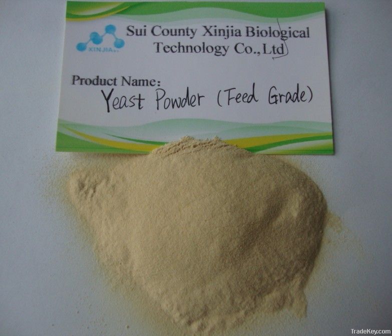 Brewers Yeast Powder