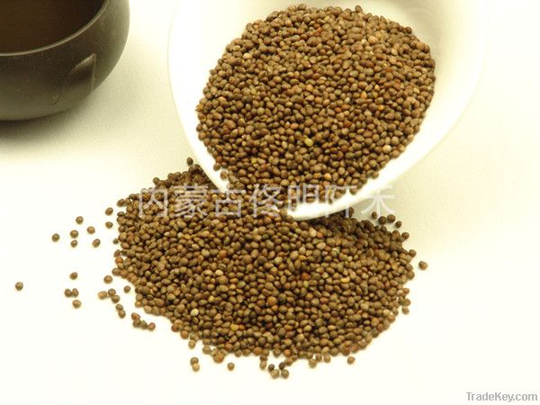 Perilla Seeds