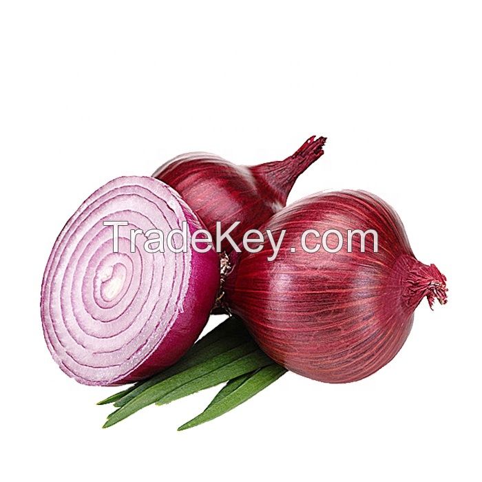 Onions - Fresh High Quality Red Onions