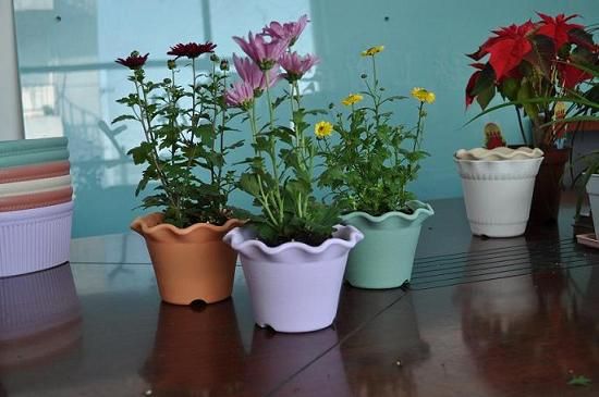 Cheap Durable Indoor Flower Pots