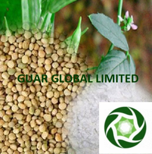 Guar seed